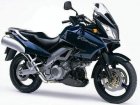 Suzuki DL 1000 V-Strom